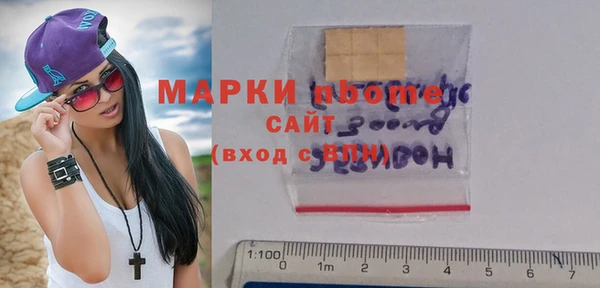 гашик Гусь-Хрустальный