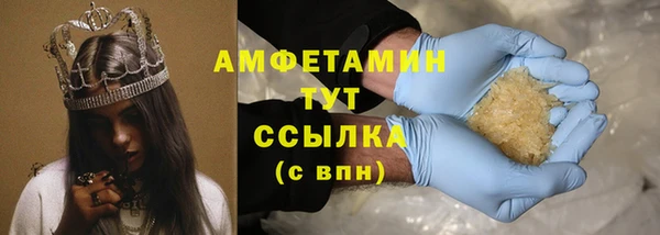 гашик Гусь-Хрустальный