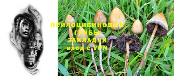 гашик Гусь-Хрустальный