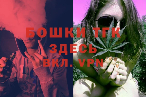 дурь Гусев