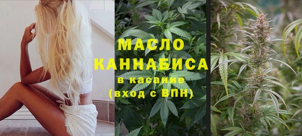 гашик Гусь-Хрустальный