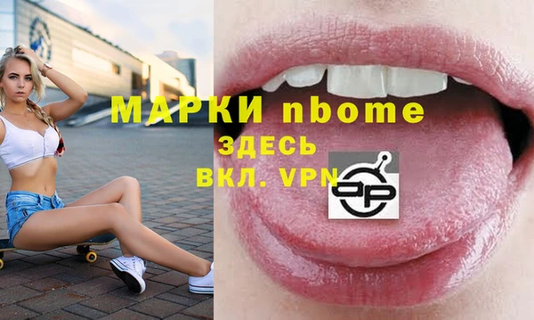 гашик Гусь-Хрустальный