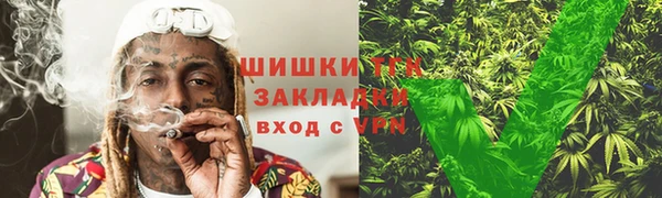 дурь Гусев