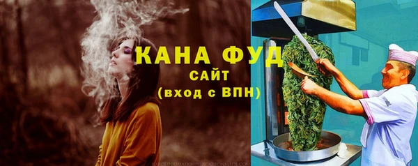 дурь Гусев