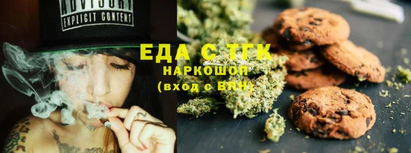 гашик Гусь-Хрустальный