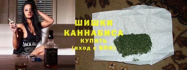дурь Гусев